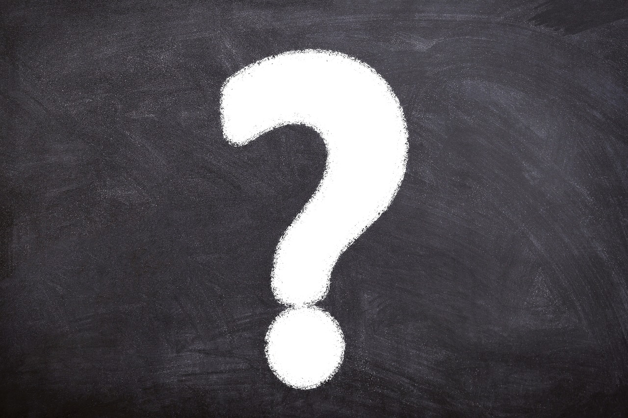 From Judgment to Curiosity: A Shift That Changes Everything