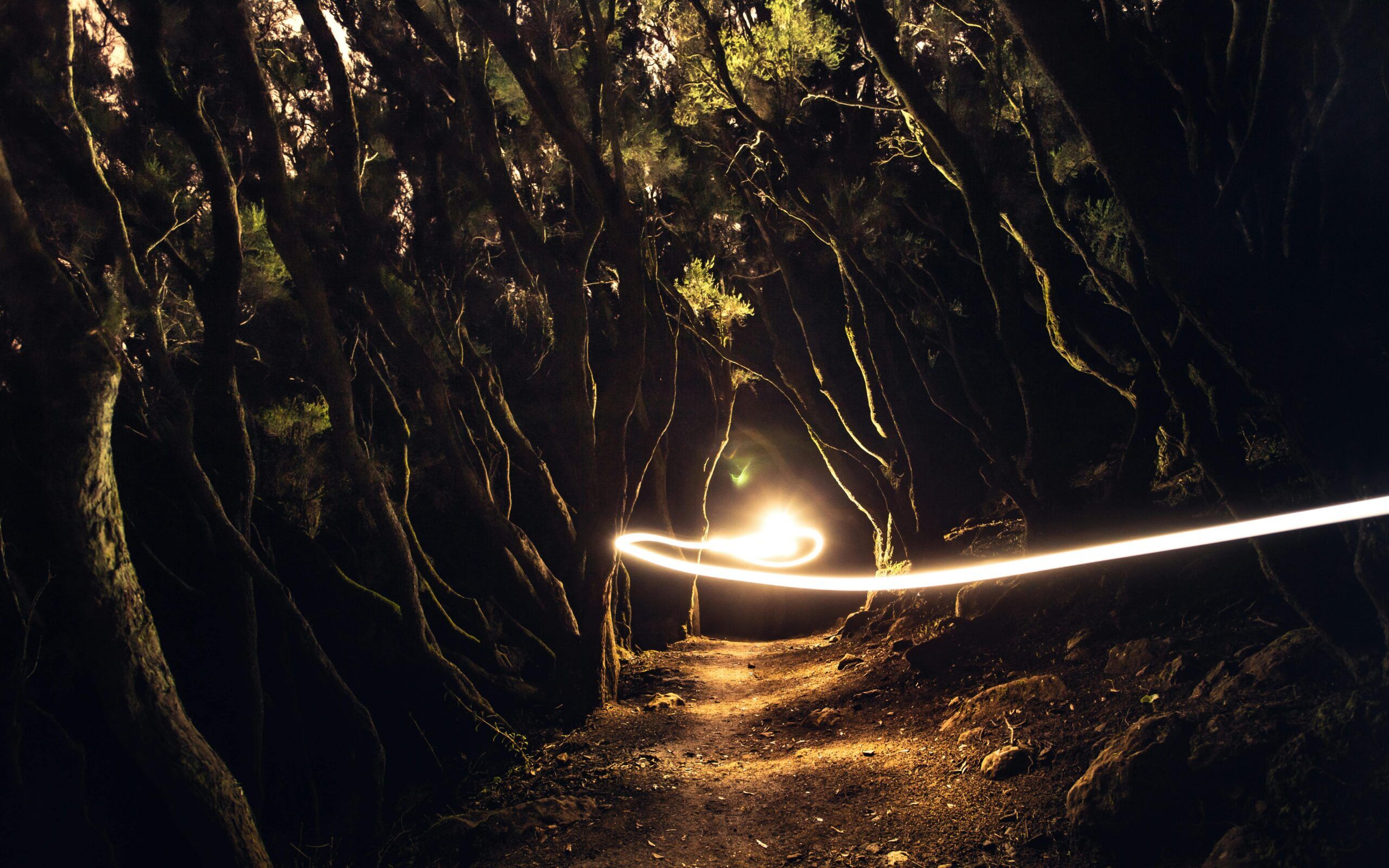 Following Your Joy: What Comes Naturally Is Worth Paying Attention To