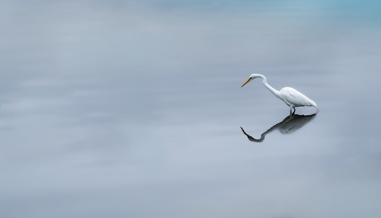 The Permission to Be Still